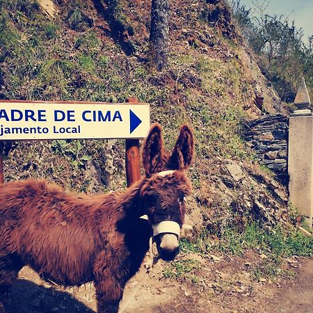 Alojamento Local Madre De Cima Vinhais Eksteriør billede